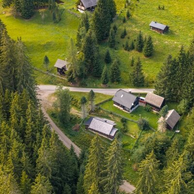 Vogelperspektive auf die idyllische Alm, eingebettet in dichte Nadelwälder und saftig grüne Wiesen.