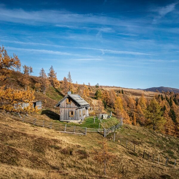 Die Almhütte liegt auf einem Hügel, umgeben von goldenen Lärchen und einer bergigen Landschaft.