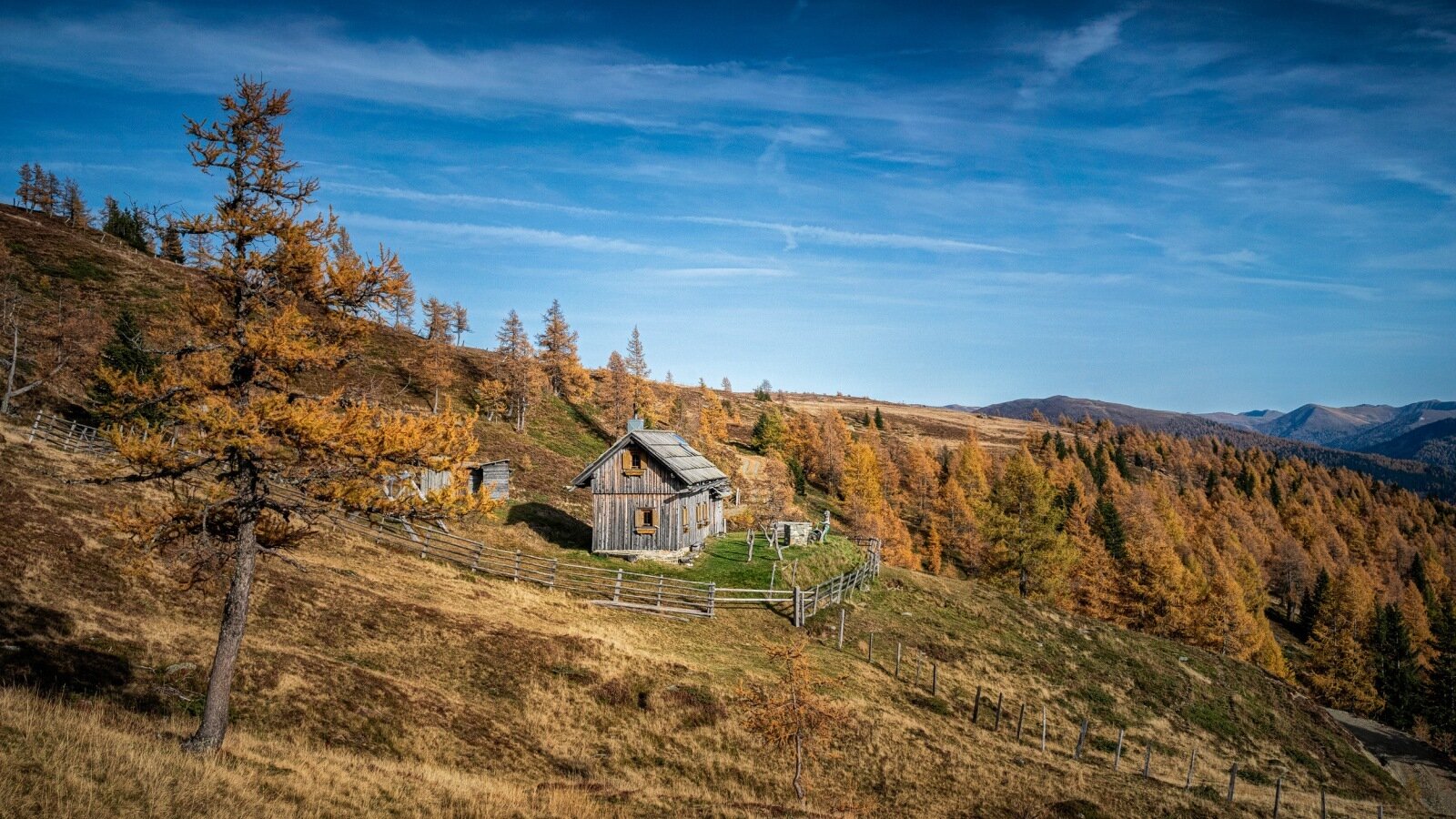 Die Almhütte liegt auf einem Hügel, umgeben von goldenen Lärchen und einer bergigen Landschaft.