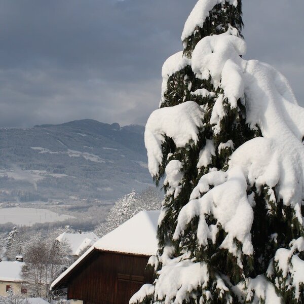 Winter am Hoferhof