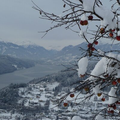Winter am Koflerhof