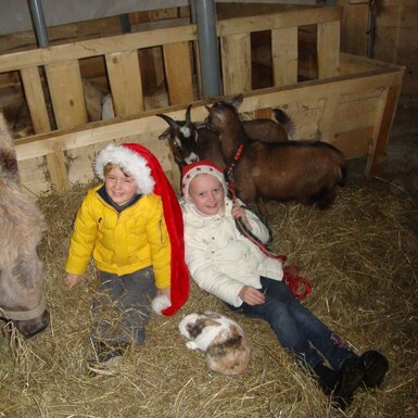 Weihnachten im Stall