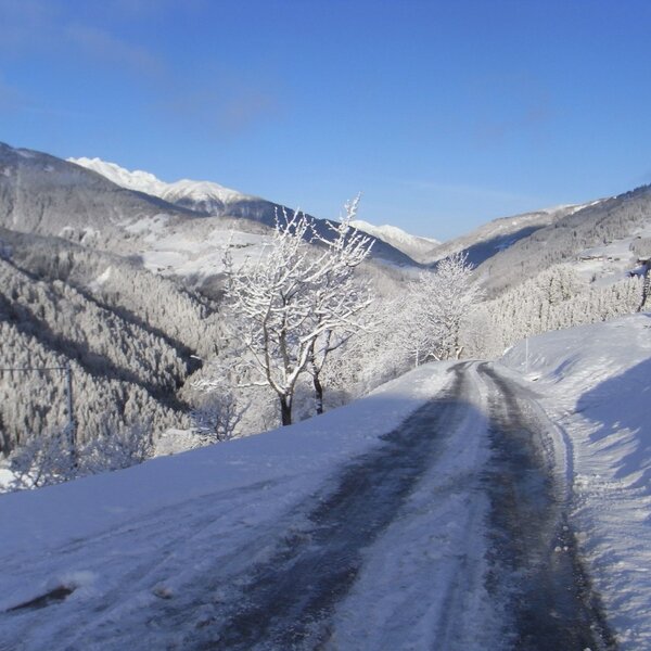 Winterblick vom Haus