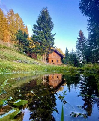 Die Alm, umgeben von Wald, spiegelt sich in einem kleinen Teich.