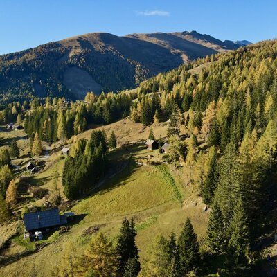 Die Alm mit mehreren Almhütten in einer bewaldeten Berglandschaft.