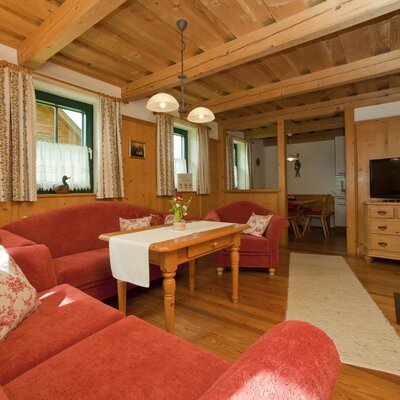 Wohnbereich der Ferienwohnung im Ferienhaus mit roten Sofas, TV und Holzofen.