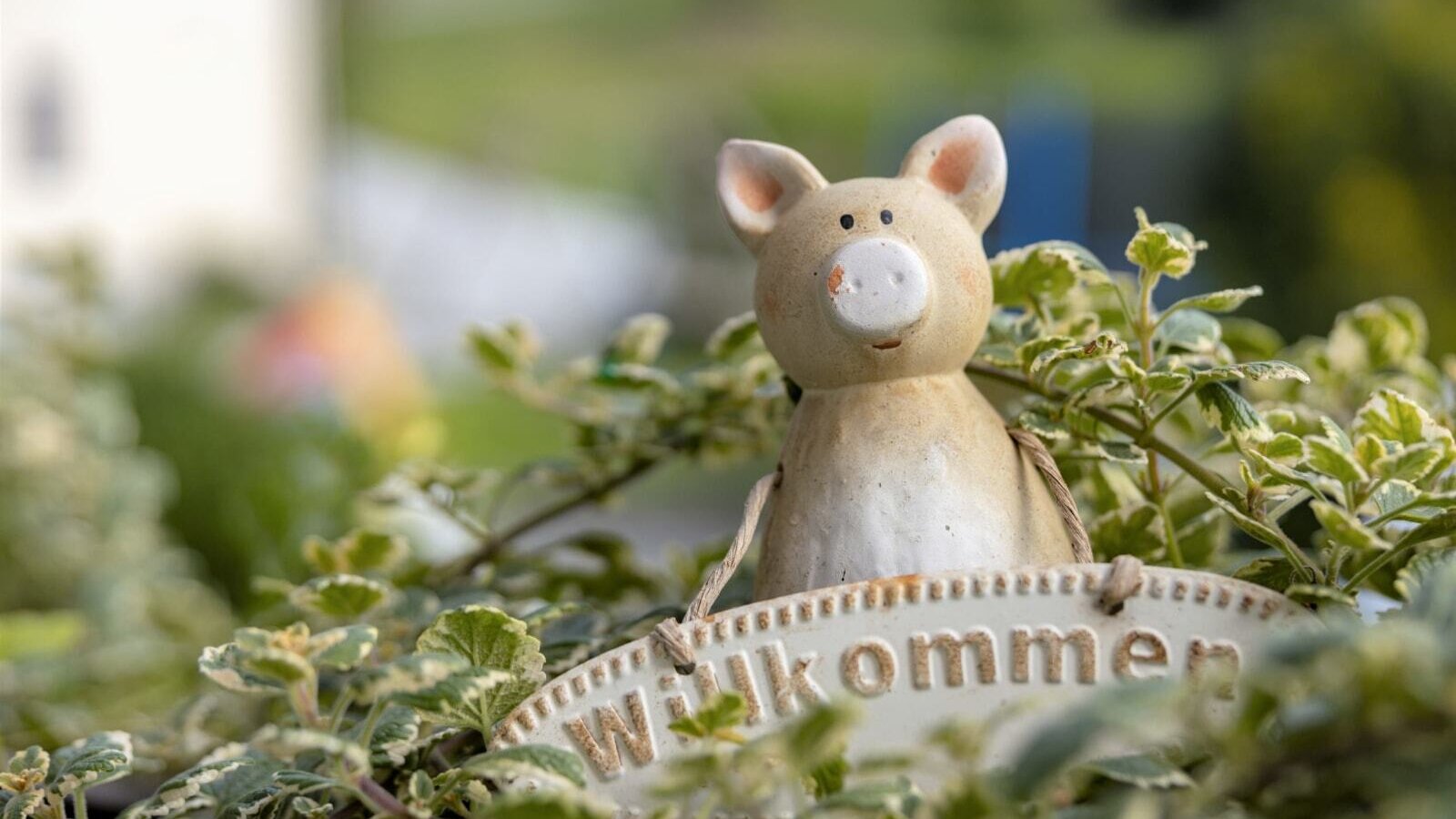 Eine Keramikschwein-Figur mit einem "Willkommen"-Schild begrüßt die Gäste auf dem Bauernhof.