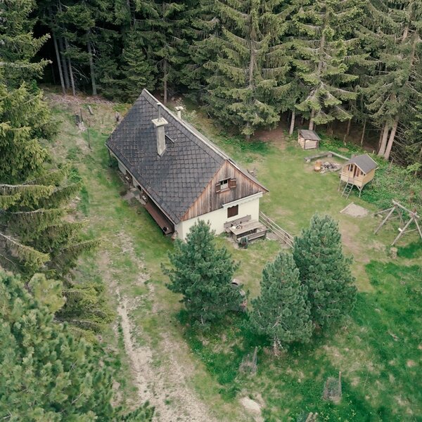 Die Alm, umgeben von Wald, mit Außensitzgelegenheiten, einem Kinderspielplatz und einer Feuerstelle.