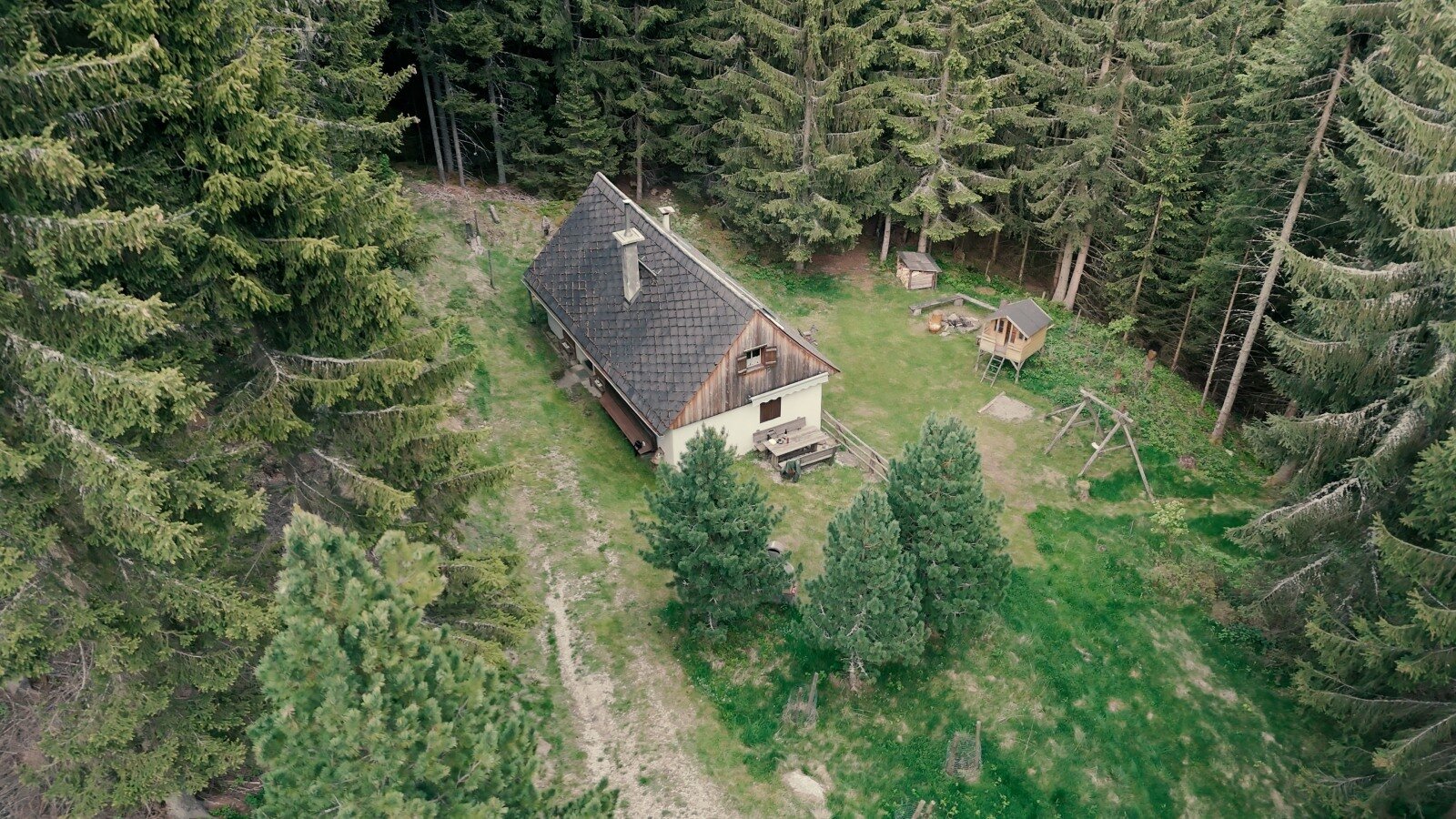 Die Alm, umgeben von Wald, mit Außensitzgelegenheiten, einem Kinderspielplatz und einer Feuerstelle.