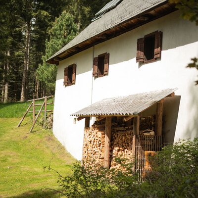 Die Alm mit weißer Fassade, Holzfensterläden und einem überdachten Holzstapel, umgeben von Wald und einer Wiese.