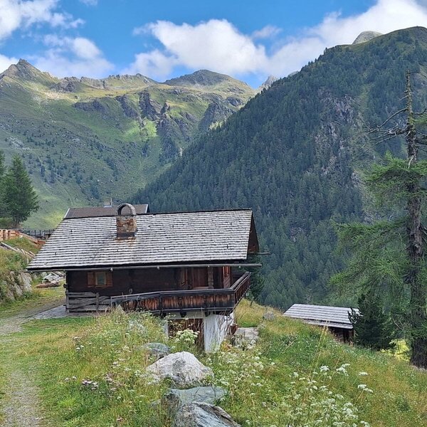 Eine urige Alm aus Holz, idyllisch gelegen inmitten einer malerischen Berglandschaft mit grünen Hängen.