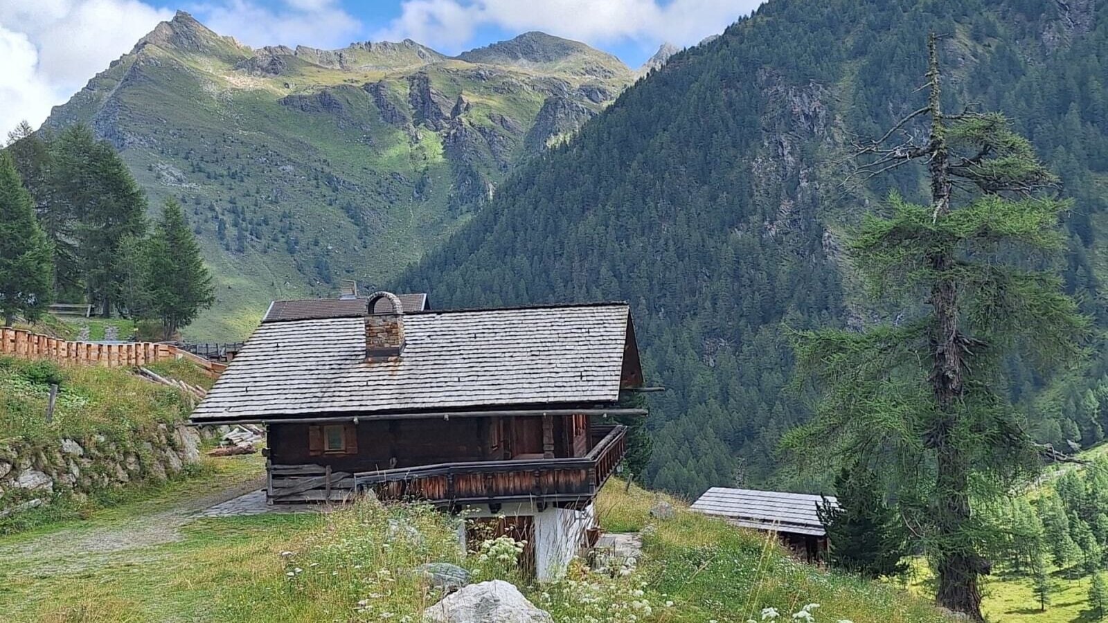 Eine urige Alm aus Holz, idyllisch gelegen inmitten einer malerischen Berglandschaft mit grünen Hängen.