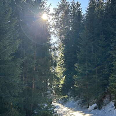 Spaziergang im Winter