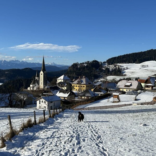 Sörg im Winter