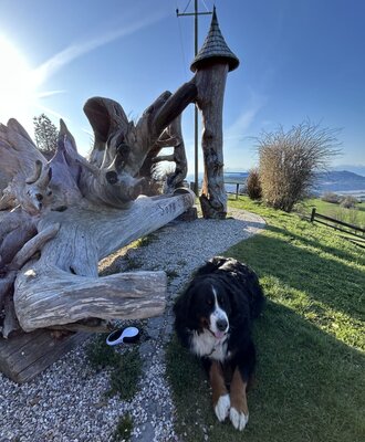 Hofhund Bruno