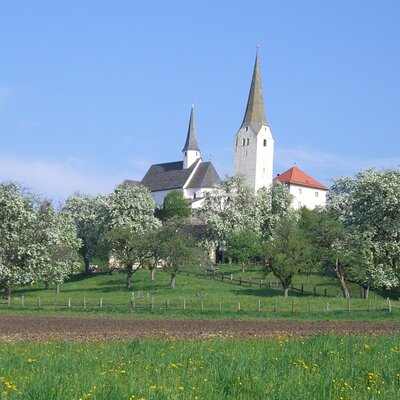 unser Obstgarten in Vollblüte