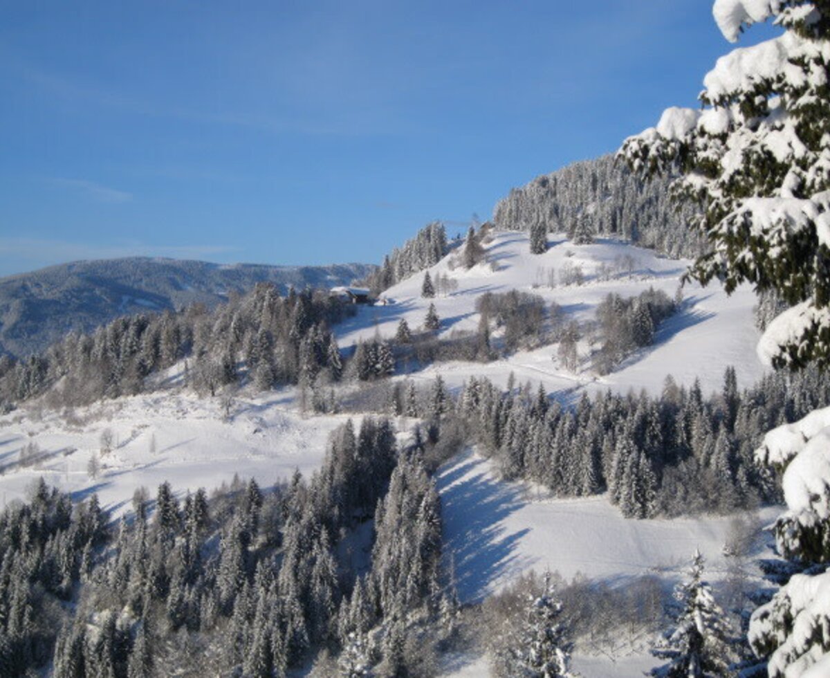 Die winterliche Landschaft rund um den Bauernhof mit schneebedeckten Wäldern und Hügeln.