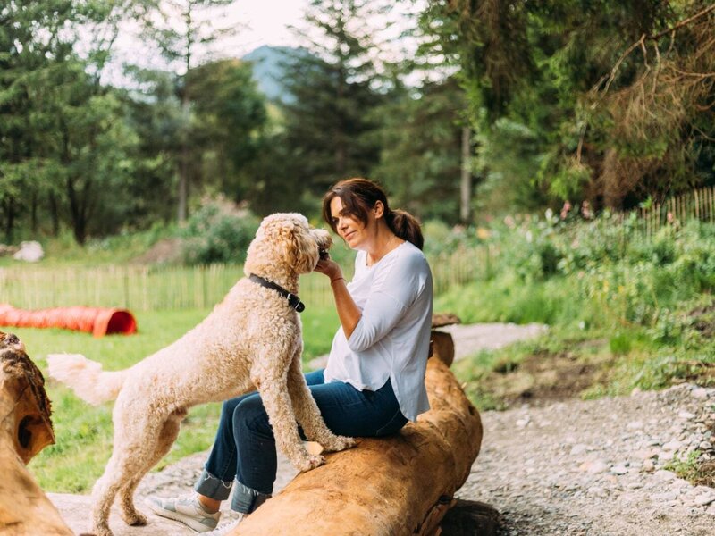 Hunde im Urlaub