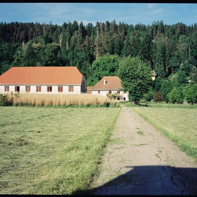 Der Bauernhof mit seinen Gebäuden, umgeben von Wiesen, einem Weg und einem Wald im Hintergrund.