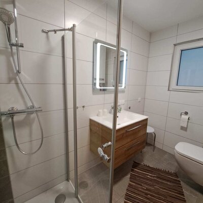 Badezimmer mit Duschkabine, Waschtisch mit Holzunterschrank, Spiegel und Toilette.