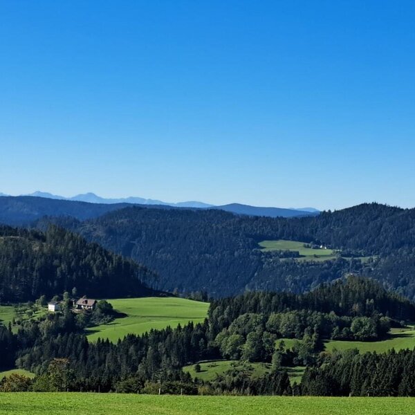 Ein herrlicher Ausblick vom Ferienhaus auf die weitläufigen grünen Wiesen und bewaldeten Hügel unter strahlend blauem Himmel.
