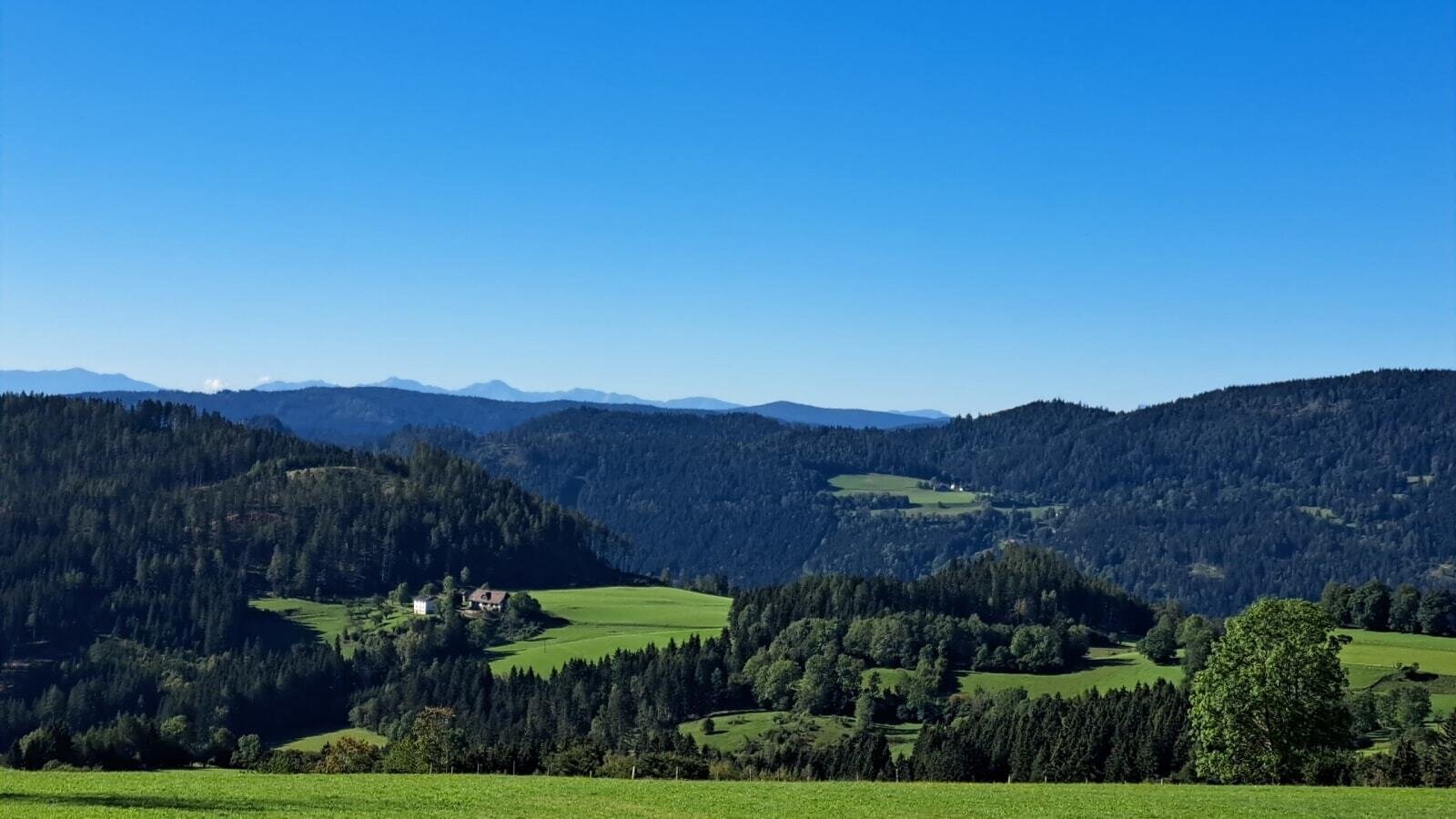 Ein herrlicher Ausblick vom Ferienhaus auf die weitläufigen grünen Wiesen und bewaldeten Hügel unter strahlend blauem Himmel.