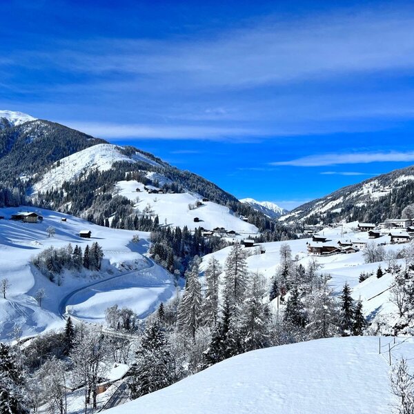 Die winterliche Landschaft des Lesachtals mit schneebedeckten Bergen, Wäldern und vereinzelten Häusern in der Umgebung des Bauernhofs.