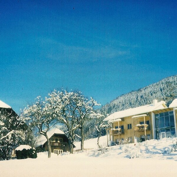 Die Ferienwohnungen des Bauernhofs in Holzbauweise mit Balkonen, umgeben von Schnee und einem Bergpanorama.