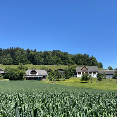Matlhof
