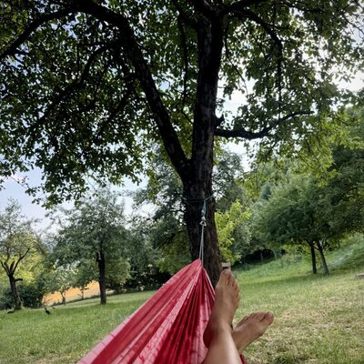 Rote Hängematte im Garten des Bauernhofs, zum Entspannen unter Bäumen.