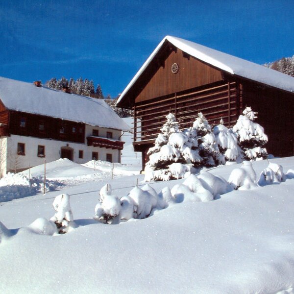 Winterfreuden