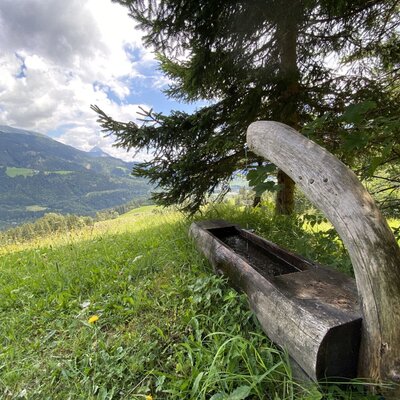 Hölzerner Brunnen auf der Alm mit Blick auf die umliegenden Berge.
