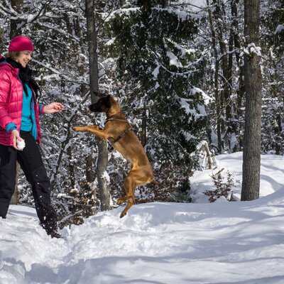 Winterspaziergang mit unserer Hündin Caro