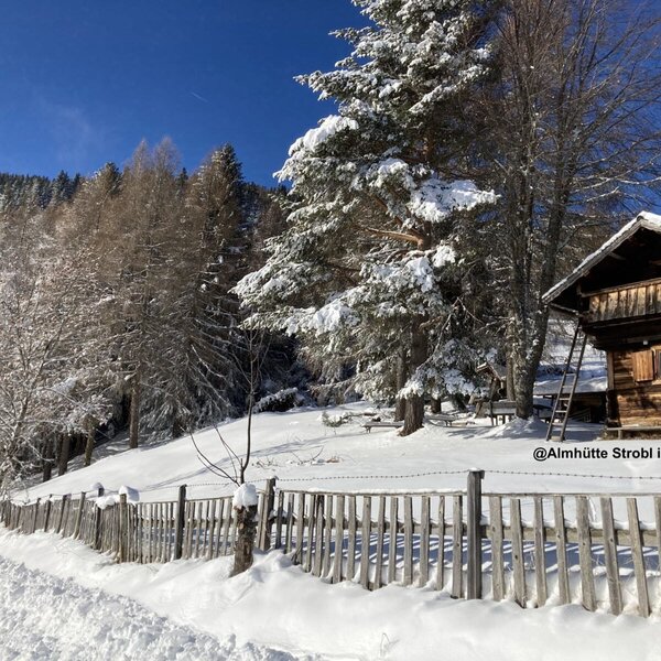 Winterzauber@Panorama Almhütte Nockberge