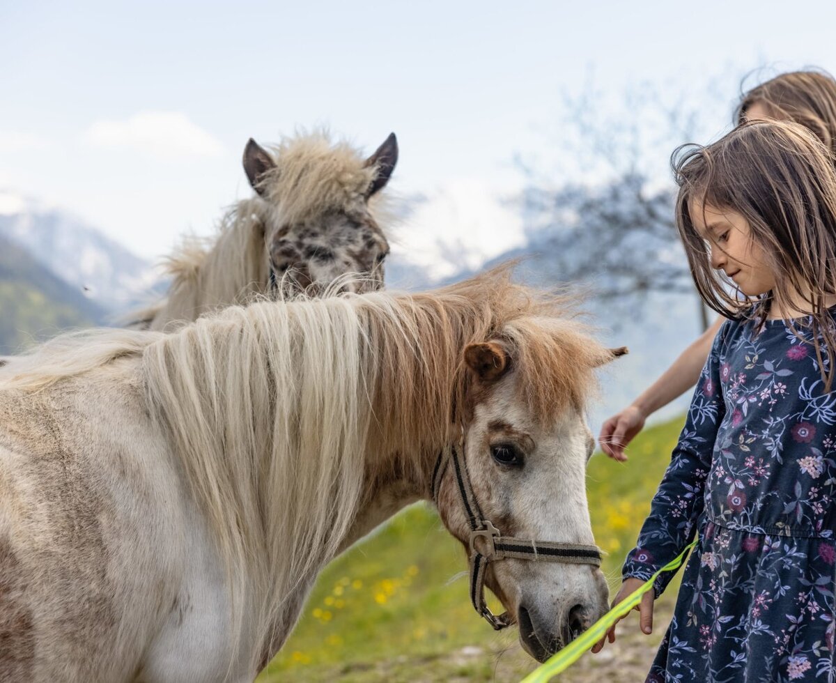 Zwei Kinder beim Umgang mit Ponys auf dem Bauernhof.