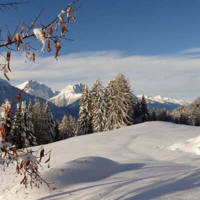 Die verschneite Winterlandschaft mit Bergen und Tannen rund um den Bauernhof.