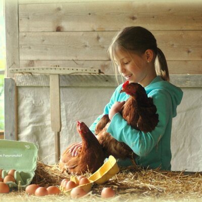 Auf dem Bauernhof können Kinder Hühner streicheln und frische Eier finden.