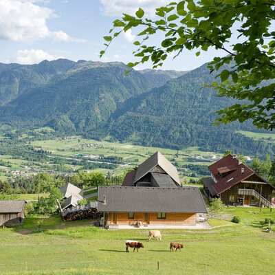 Blick auf den Bauernhof mit dem neuen Ferienhaus, grasenden Kühen und der umliegenden Berglandschaft.