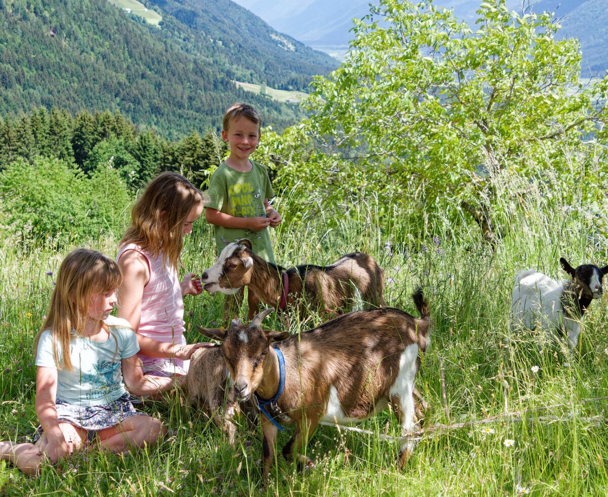 Kinder füttern Ziegen auf dem Bauernhof, umgeben von grünen Wiesen und Bergen.