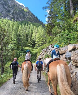 Reitausflug auf einem Bergpfad mit Pferden des Bauernhofs.