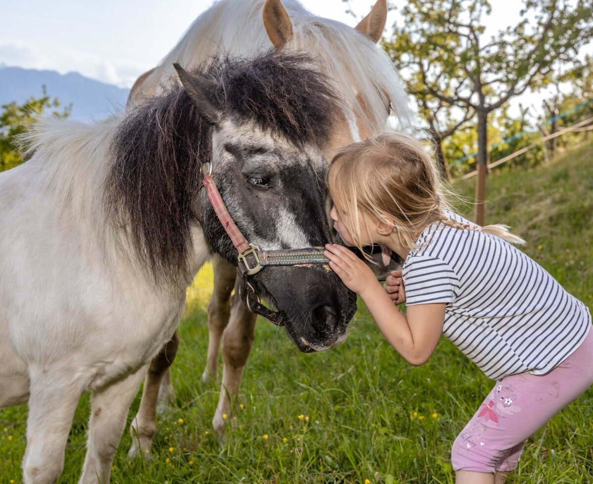 Ein Kind interagiert eng mit einem Pony auf dem Bauernhof.