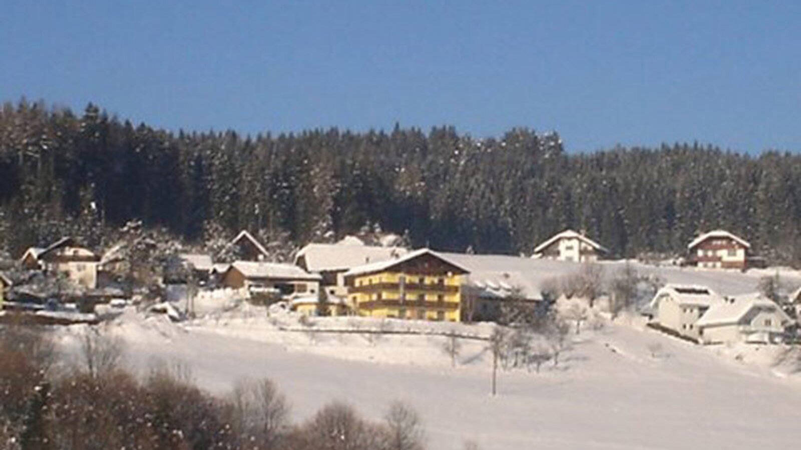 Der Bauernhof und die umliegenden Häuser in einer winterlichen, verschneiten Landschaft mit Wald im Hintergrund.
