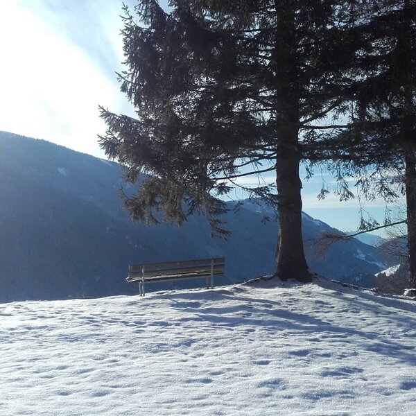 Blick auf das verschneite Tal und die umliegenden Berge von der Alm, mit einer Sitzbank unter einem Baum.