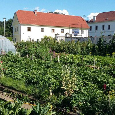 unser Gemüsegarten
