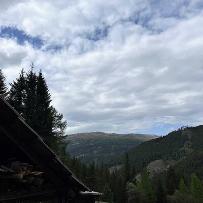 Blick von der Alm auf die umliegenden, dicht bewaldeten Berge unter einem weiten Wolkenhimmel.