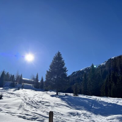 Eine tief verschneite Winterlandschaft rund um die Alm unter strahlend blauem Himmel und wärmender Sonne.