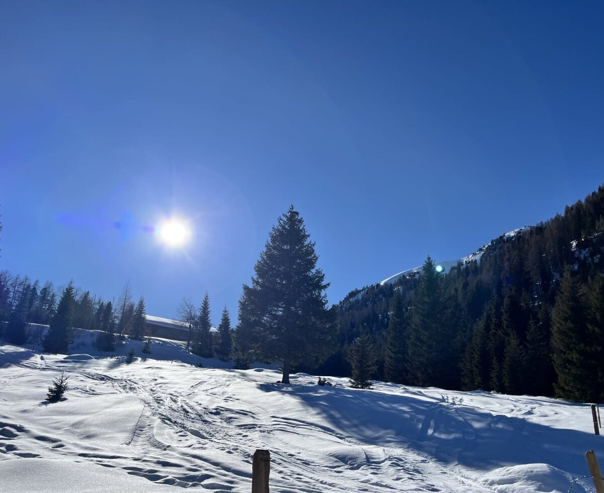 Eine tief verschneite Winterlandschaft rund um die Alm unter strahlend blauem Himmel und wärmender Sonne.