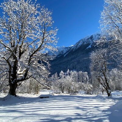 Blick vom Krassnig zum winterlichen Hochobir