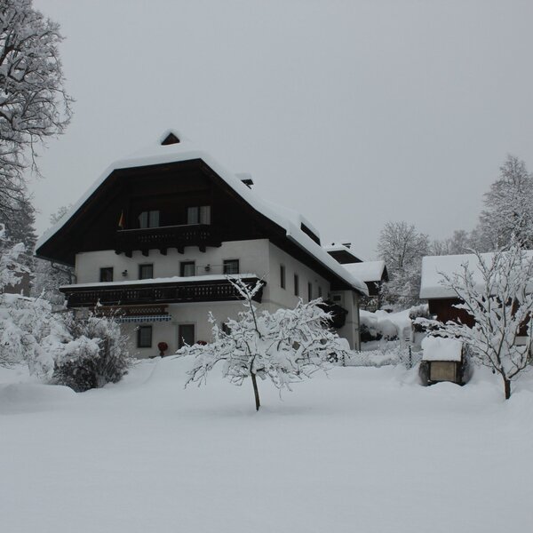 Der Bauernhof mit Nebengebäuden und Bäumen in einer verschneiten Winterlandschaft.