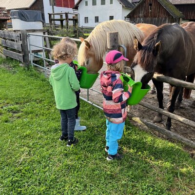 Zwei Kinder füttern die Pferde auf dem Bauernhof mit grünen Eimern.